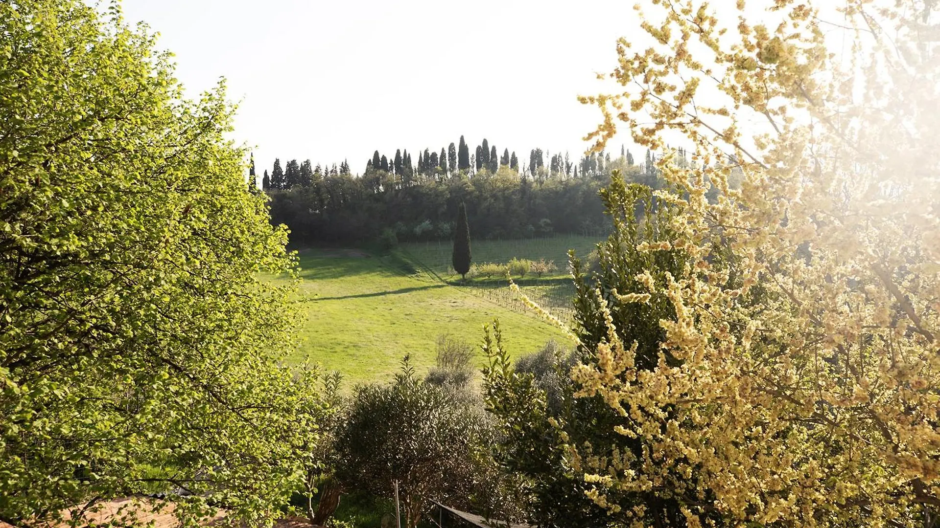 Bed & Breakfast Bed and Breakfast Relais La Rocca Solferino